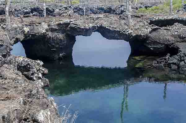 59 - Ecuador - islas Galapagos - isla Isabela - los Tuneles